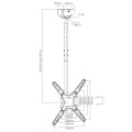 ÷ Soporte de techo approx appstt03 para pantalla 17