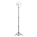 ÷ Anillo de iluminacion profesional mars gaming argb con 35 modos de estudio y ambiente soporte webcam